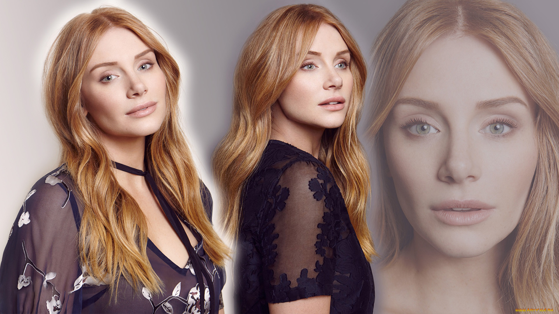 , bryce dallas howard, bryce, dallas, howard